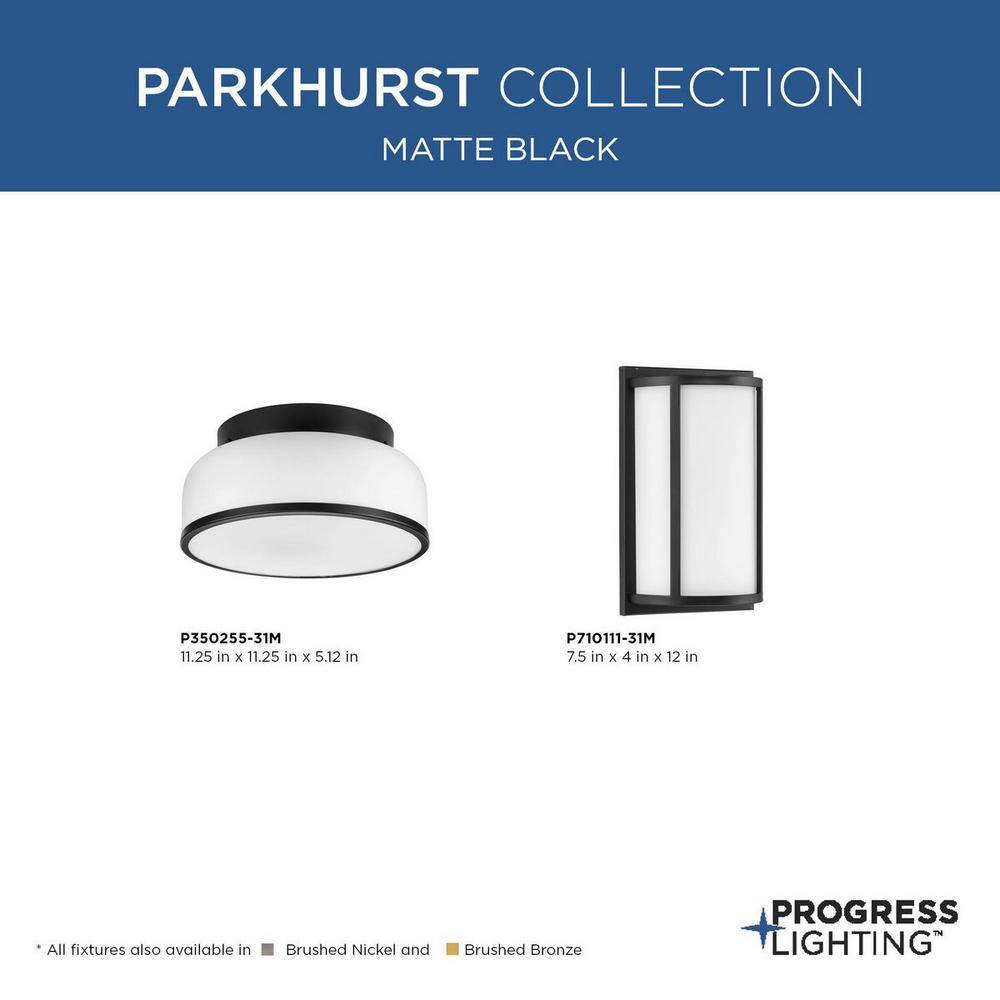 Parkhurst Matte Black Glass Flush Mount Light