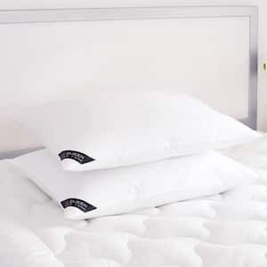 Elegance Soft White Cotton Standard Queen Pillow Pair