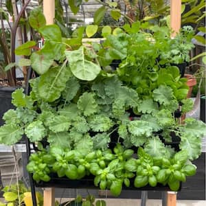 24 Plant Metal Outdoor Vertical Garden Rack