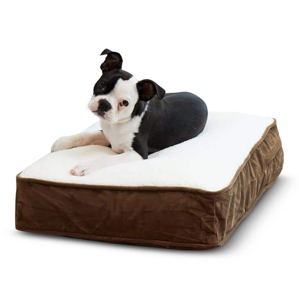 Extra Small Latte Sherpa Chew Resistant Dog Bed