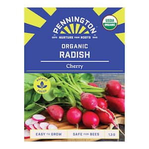 Organic Radish Cherry Vegetable Seed