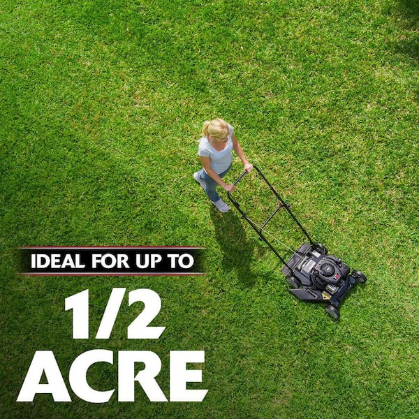 Have a question about Murray 20 in. 125 cc Briggs & Stratton Walk