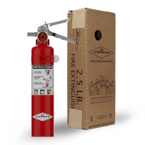 AMEREX 1-A:10-B:C 2.5 lbs. ABC Dry Chemical Fire Extinguisher B417T - The Home  Depot