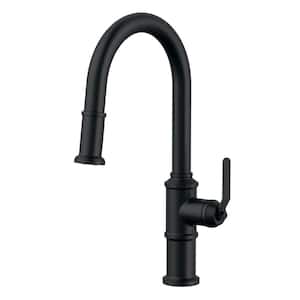 Kinzie 1-Handle Pull Down Sprayer Kitchen Faucet with 1.75 GPM in Satin Black