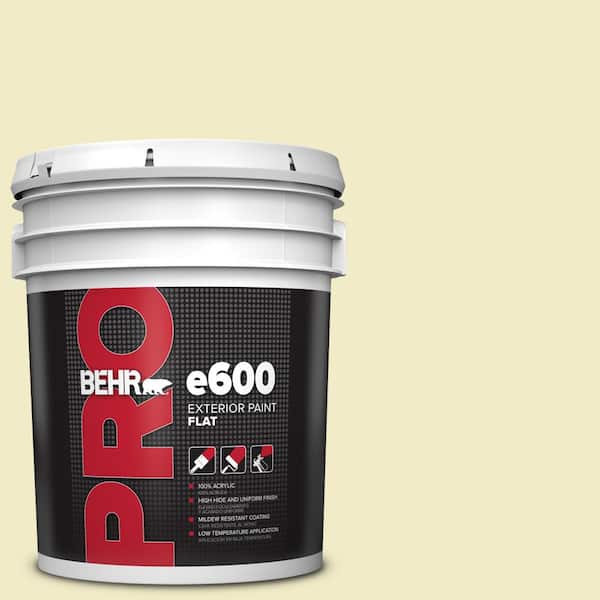 BEHR PRO 5 gal. #P350-2 May Apple Flat Exterior Paint