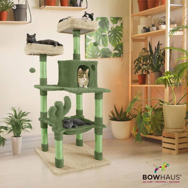 BOWHAUS 58 in. Cactus Cat Tower for Indoor Cats, Cute Small Cactus Cat Tree  with Widened Perch PHFC-BH572402-GR