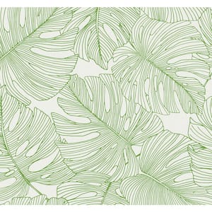 60.75 sq. ft. Hill Green Tarra Monstera Leaf Nonwoven Paper Unpasted Wallpaper Roll