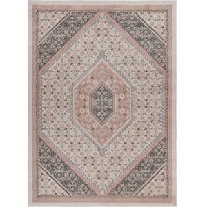 Asher Traditional Ivory/Blush 7 ft. 9 in. x 9 ft. 5 in. Medallion Polypropylene Area Rug