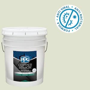 5 gal. PPG1122-2 Lime Wash Eggshell Antiviral and Antibacterial Interior Paint with Primer
