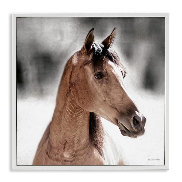 Stupell Industries Brown Foal in Snow by Kari Brooks 1 Piece Framed Graphic Print Animal Poster Art Print 12 in. x 12 in.