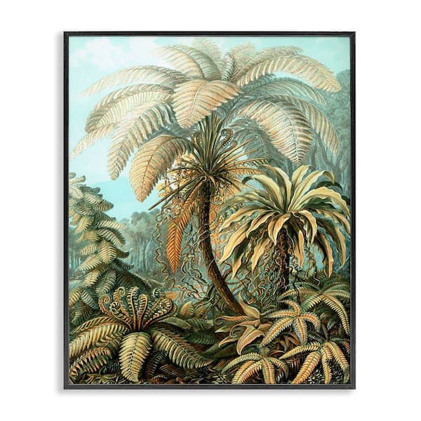 Stupell Industries Detailed Palm Tree Leaves by Graffi*tee Studios Black Framed Nature Giclee Art Print 14 in. x 11 in.