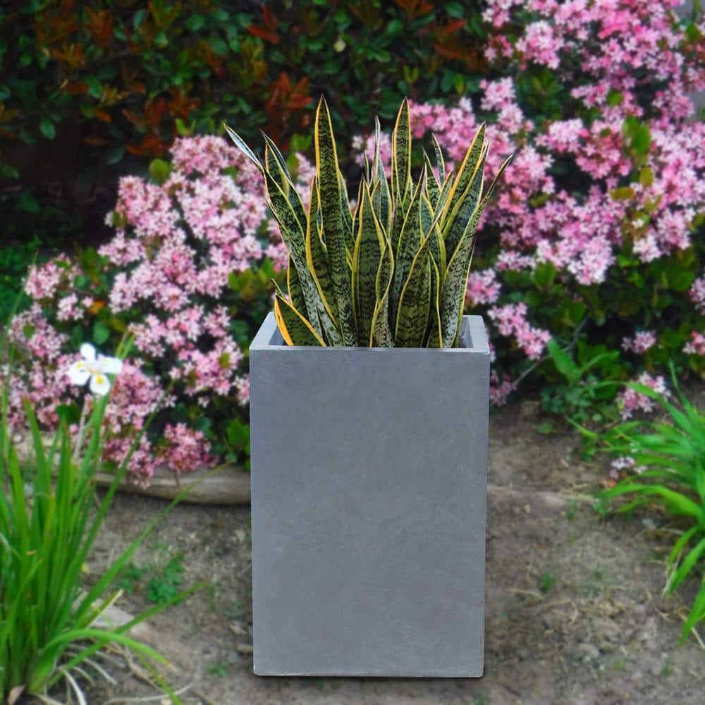 Medium Gray Lightweight Concrete Tall Square Planter