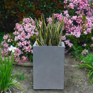 Large 13 in. x 13 in. x 18.5 in. Cement Lightweight Concrete Tall Square Planter