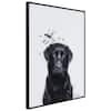 Empire Art Direct Golden Retriever Black and White Pet Paintings on  Printed Glass Encased with a Gunmetal Anodized Frame AAGB-JP1030-2418 - The  Home Depot