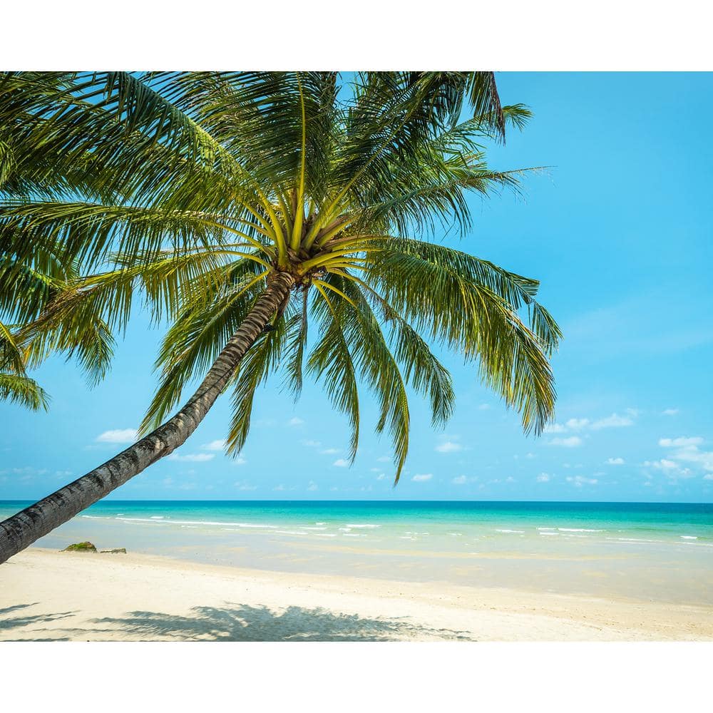 Tropical Paradise Beach Blue Non-Woven Wall Mural