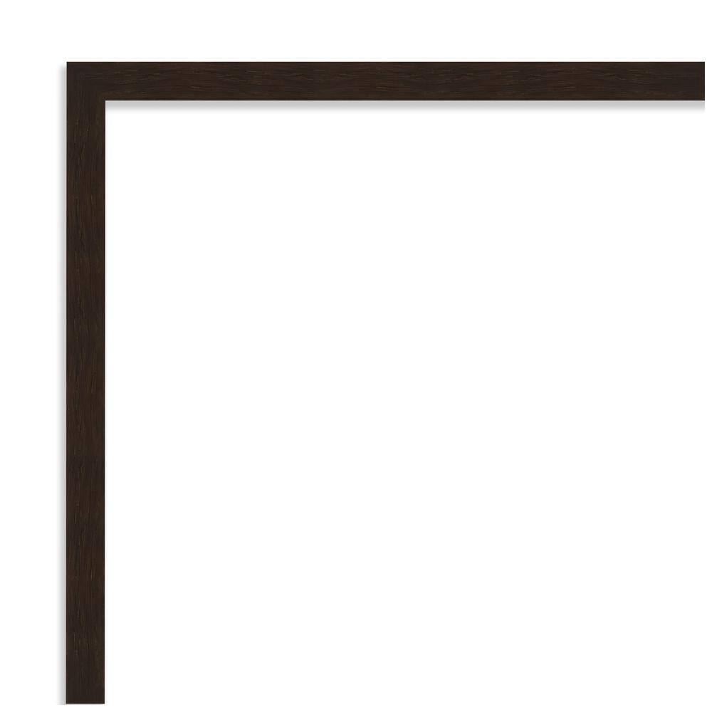 Carlisle Espresso Narrow Full Length Wood Door Mirror
