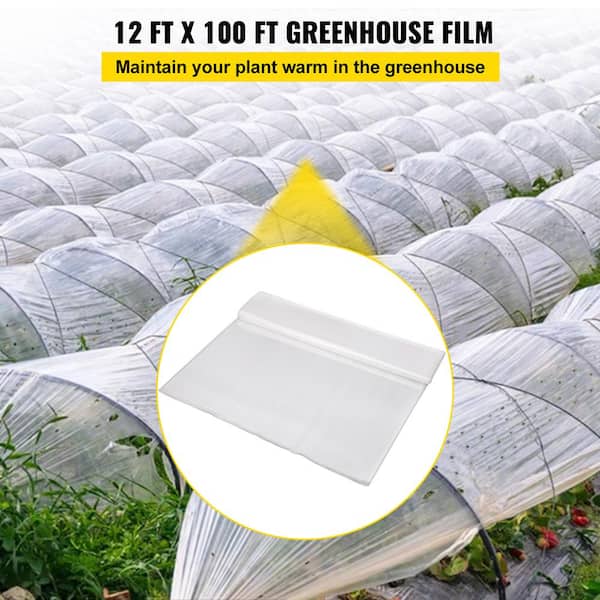 OriginA Greenhouse Clear Plastic Film UV Resistant Polyethylene Covering for Grow Tunnel and Garden Plant Cover 10-Feet Width by 20-Feet Length 