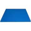 PROSOURCEFIT Extra Thick Exercise Puzzle Mat Blue 24 in. x 24 in. x 1 in.  EVA Foam Interlocking Anti-Fatigue (6-pack) (24 sq. ft.) ps-2295-hdpm-blue  - The Home Depot