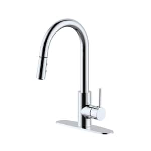Single-Handle Pull Down Sprayer Kitchen Faucet with Dual Spray in Polished Chrome
