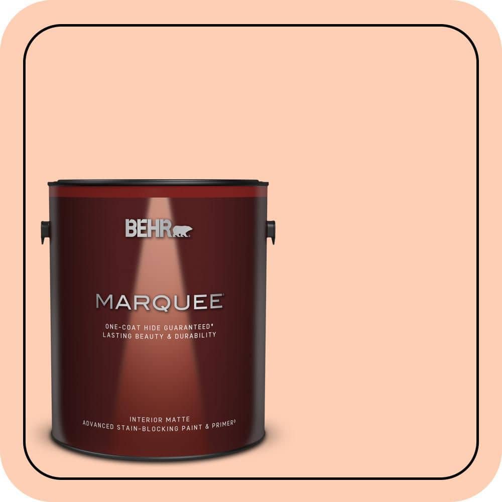 1 gal. #230A-3 Apricot Lily Matte Interior Paint & Primer price history on PriceWatchPro