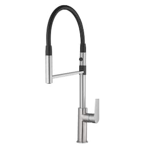 Lizetta 1-Hand Pull Down Kitchen Faucet in Stainless Steel