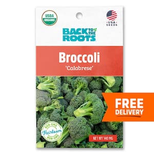 Organic Calabrese Broccoli Seed (1-Pack)