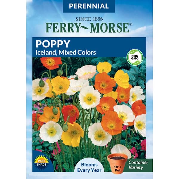 Ferry-Morse Poppy Iceland Mixed Colors Flower Seed