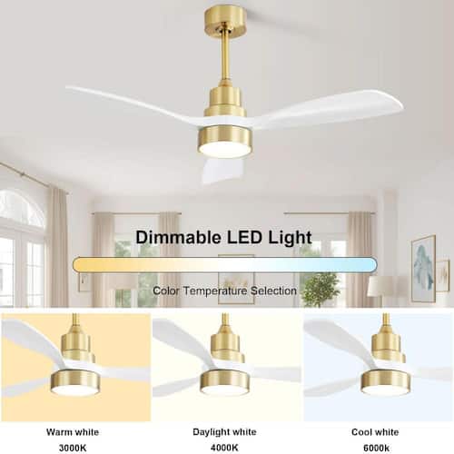 Glide 48 in. Indoor Gold Ceiling Fan with Lights, Remote Control and Reversible Motor for Living Room,Bedroom Ceiling Fans With Lights