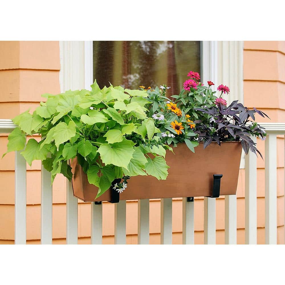 Black Wrought Iron 8-Inch Wall-Mount Flower Box Brackets