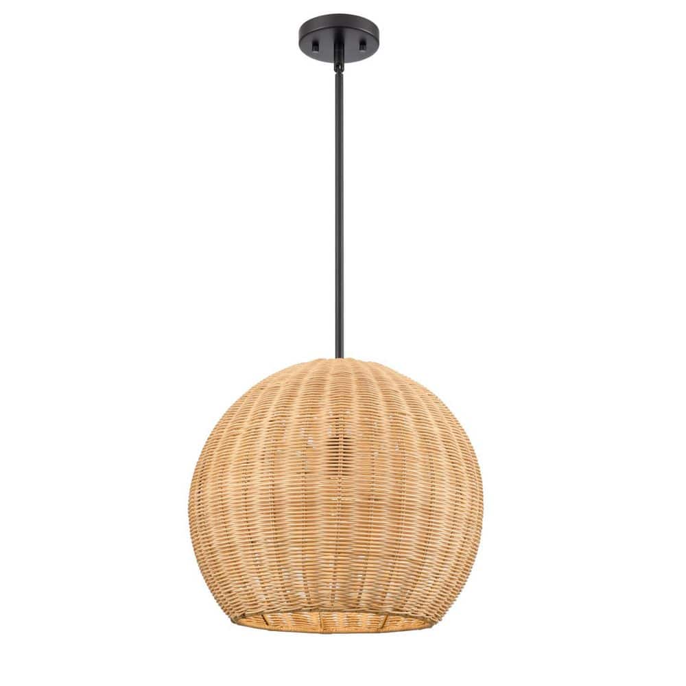 Elise 16 inch Wide 1-Light Pendant-Matte Black price history on PriceWatchPro
