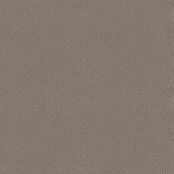 Lifeproof Corben - Virtual Taupe - Brown 32.7 oz. Nylon Pattern Installed  Carpet HDF0300791 - The Home Depot
