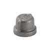 Southland In Black Malleable Iron Cap Fitting Hn The Home