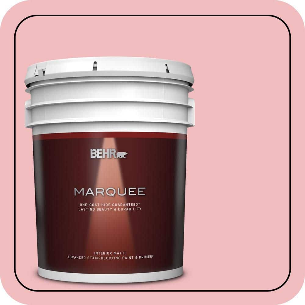 5 gal. #P160-2 Blush Rush Matte Interior Paint & Primer price history on PriceWatchPro