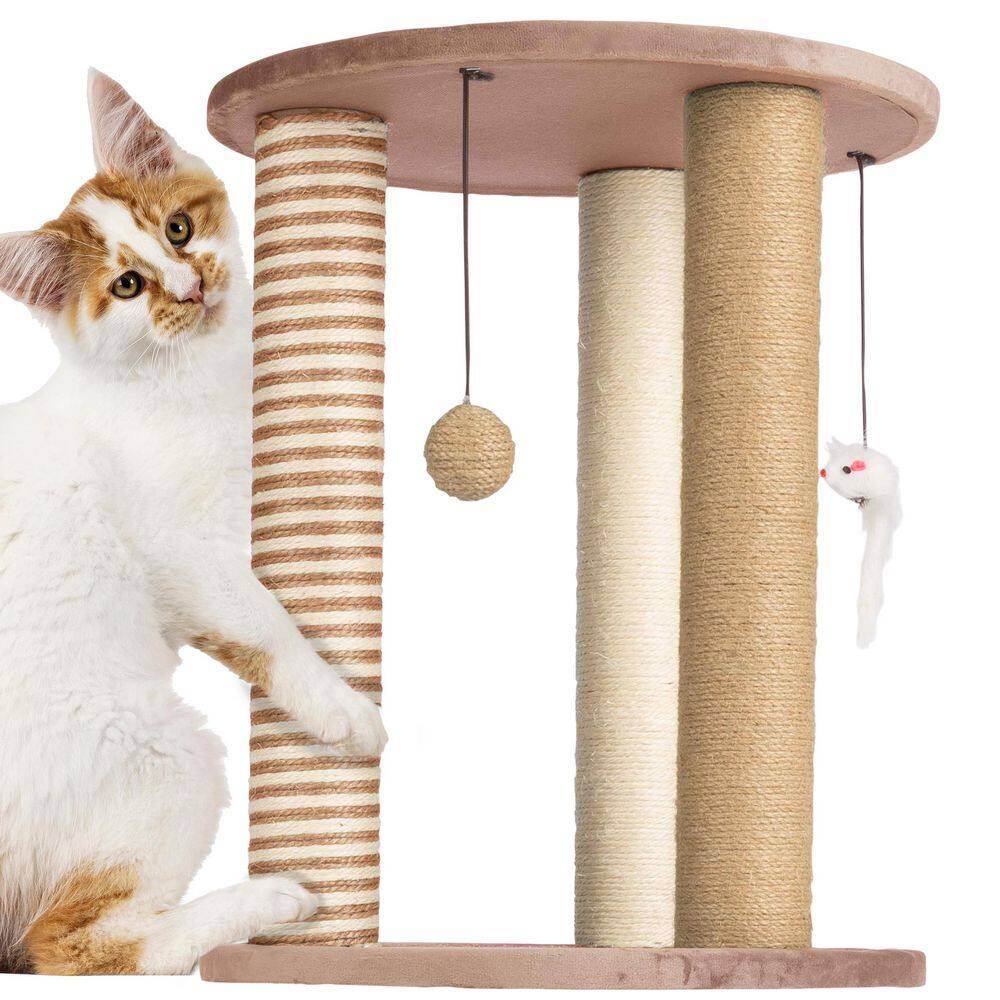 Scratching Posts Stop Cat From Clawing Furniture Petmaker Tan And