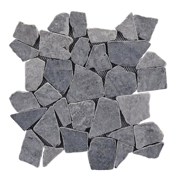 Emser THASSOS WHITE 5-Pack Thassos White 18-in x 18-in Polished Natural Stone Marble Stone Look Floor and Wall Tile