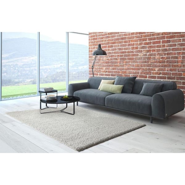 Shaggy Gray 3 ft. x 5 ft. Area Rug