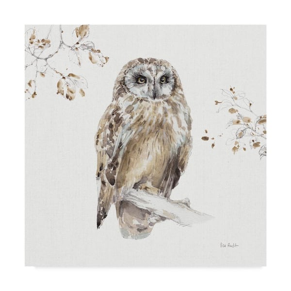 Trademark Fine Art A Woodland Walk VIII by Lisa Audit Floater Frame Animal Wall Art 24 in. x 24 in.