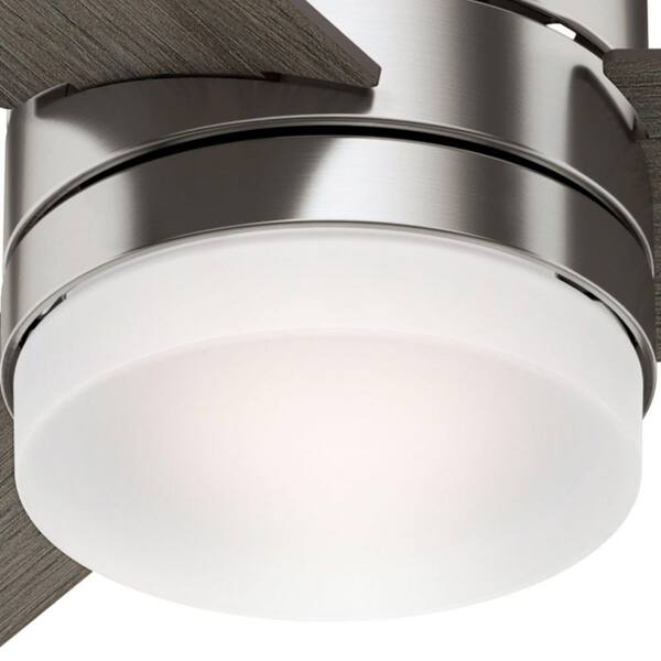 Costco Hunter Exeter Ceiling Fan Shelly Lighting