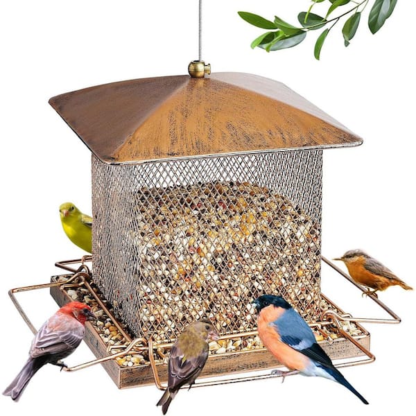 FAWEY TRED INC Heavy Duty Metal Bird Feeders for Outdoor Hanging, 3. 5LB Large Capacity Wild Bird feeder