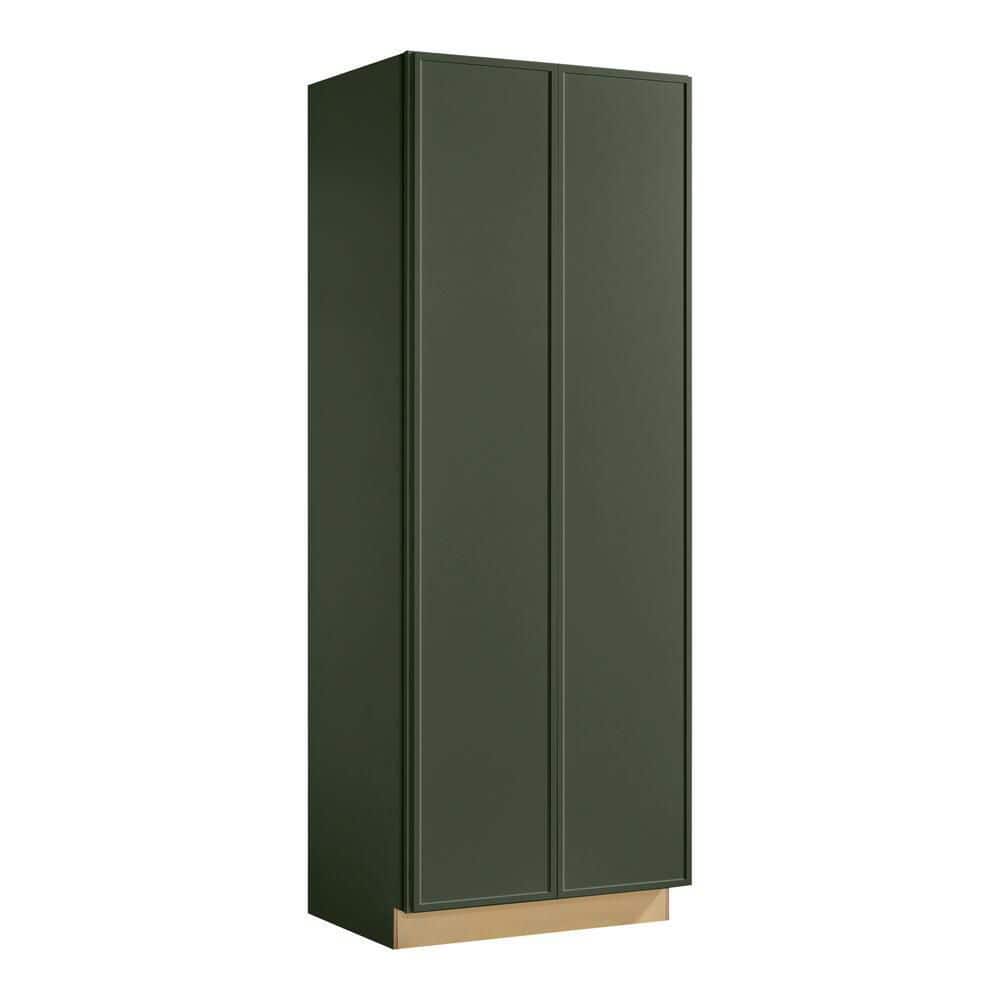 Leyton 36 in. W x 24 in. D x 96 in. H Ready To Assemble Plywood Slim Shaker Wide Pantry Kitchen Cabinet in Fern Green price history on PriceWatchPro