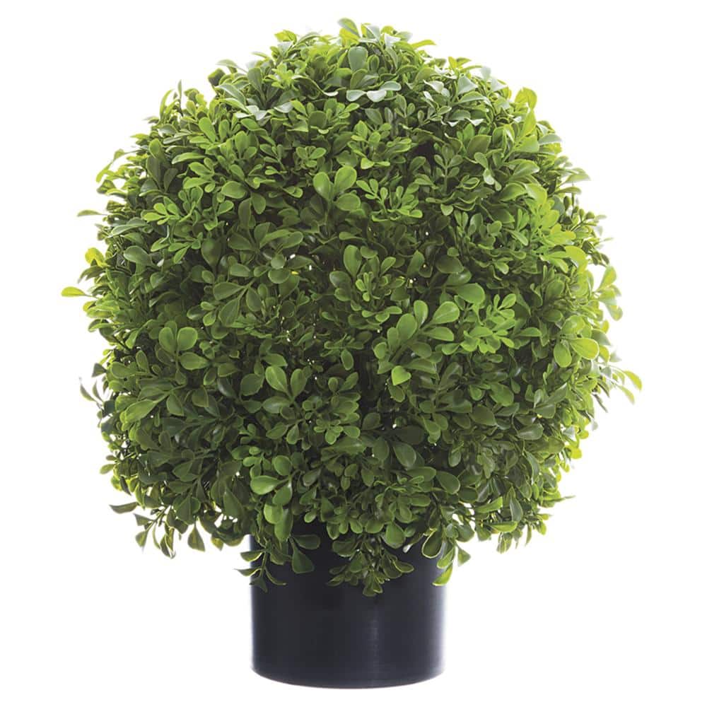 16 In. Boxwood Ball Topiary in Nursery Pot price history on PriceWatchPro