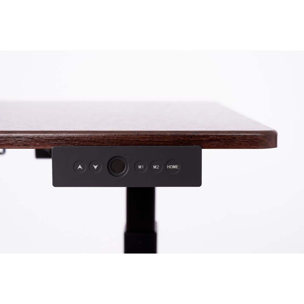 Luxor 60" Dual-Motor Electric Height Adjustable Desk in Dark Walnut
