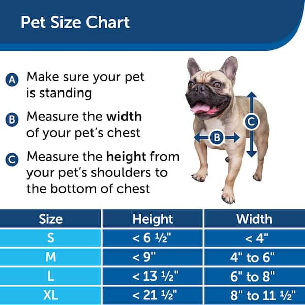 How Big Should My Dog Door Be