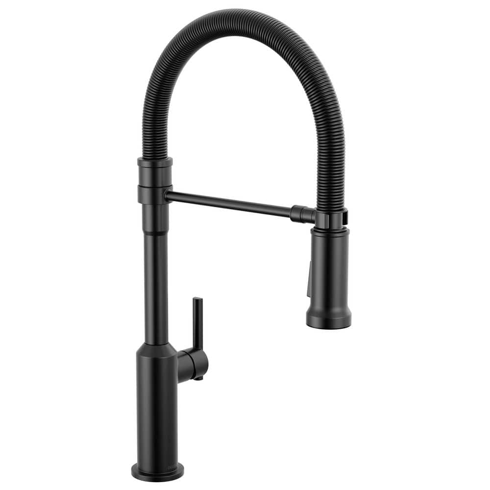 Delta Cordova Spring Spout Matte Black 21 in. H Pull Down Sprayer