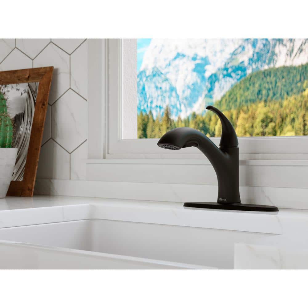 Matte Black Single Handle Pull-Out Kitchen Faucet