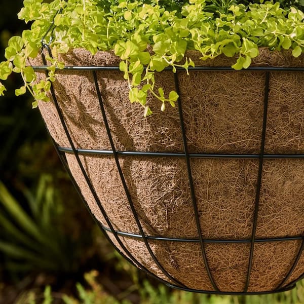 Vigoro Large Black Metal Hanging Round Planter with Coco Liner (20