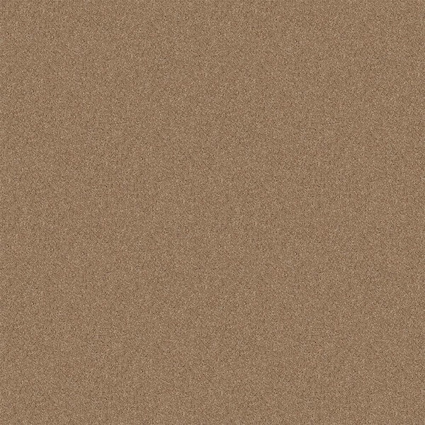 TrafficMaster Watercolors II - Mole Hill - Brown 38.4 oz. Polyester Texture Installed Carpet