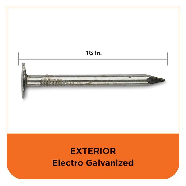 Pro-Fit 1-3/4 in. Electro-Galvanized Nail 5 lb