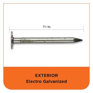 1-3/4 in Electro Galvanized Roofing Nail 5 lbs. (775-Count)