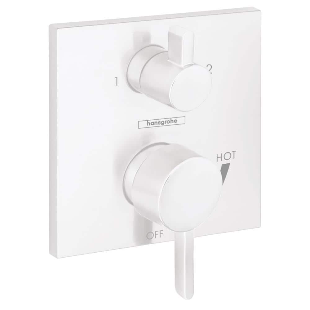 Ecostat 2-Handle Wall Mount Shower Trim Kit in Matte White Valve Not Included price history on PriceWatchPro